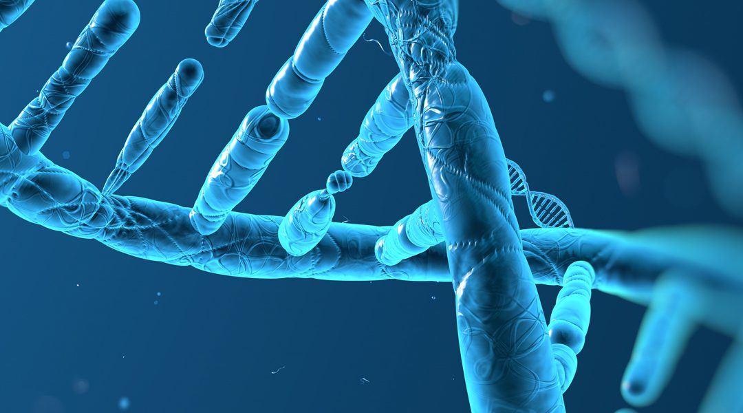 Was genau ist guter Content?