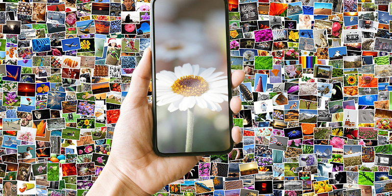 Visuelle Suche: Ein echter Mehrwert für Nutzer und Websitebetreiber