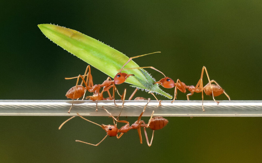 Der Booster für mehr Teamgeist zwischen Marketing, Design und IT